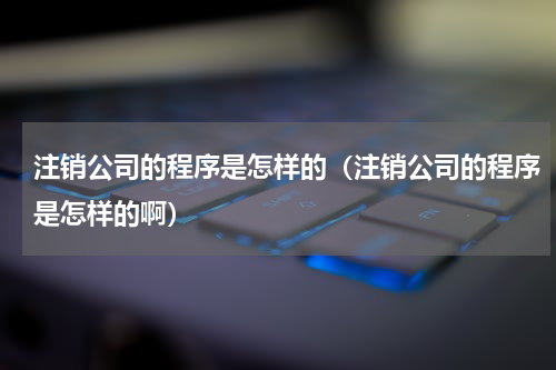 注销公司的程序是怎样的（注销公司的程序是怎样的啊）