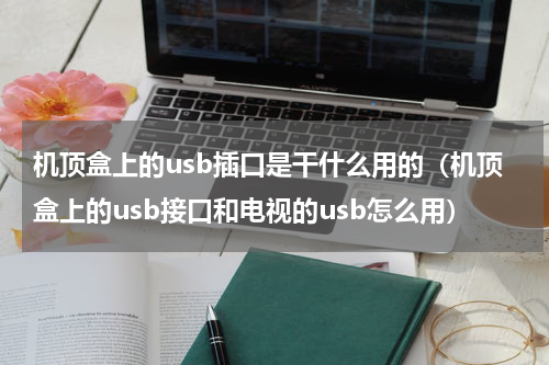 机顶盒上的usb插口是干什么用的（机顶盒上的usb接口和电视的usb怎么用）