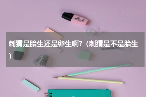 刺猬是胎生还是卵生啊?（刺猬是不是胎生）