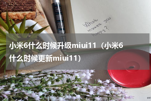 小米6什么时候升级miui11（小米6什么时候更新miui11）