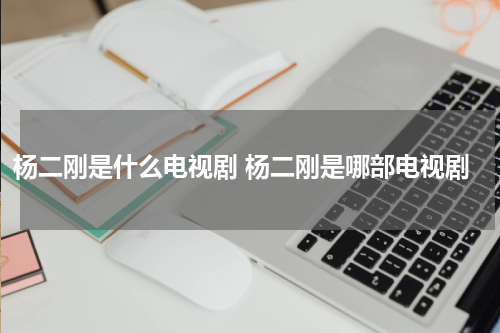 杨二刚是什么电视剧 杨二刚是哪部电视剧