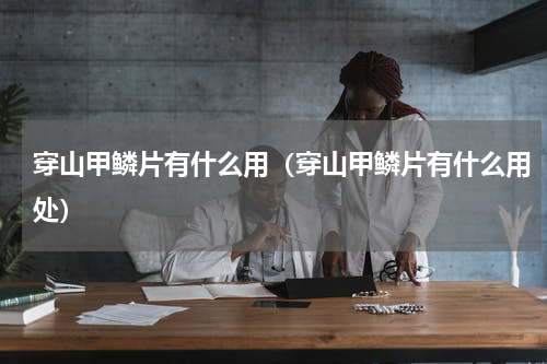 穿山甲鳞片有什么用（穿山甲鳞片有什么用处）