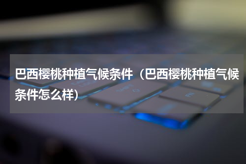 巴西樱桃种植气候条件（巴西樱桃种植气候条件怎么样）
