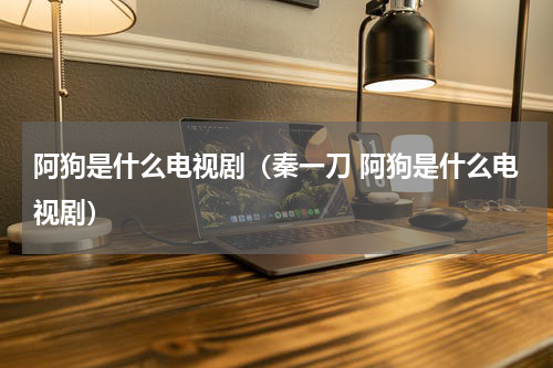 阿狗是什么电视剧（秦一刀 阿狗是什么电视剧）