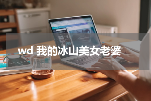 wd 我的冰山美女老婆