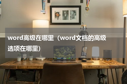 word高级在哪里（word文档的高级选项在哪里）