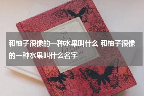 和柚子很像的一种水果叫什么 和柚子很像的一种水果叫什么名字