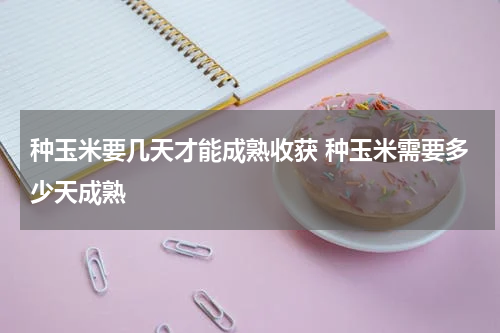 种玉米要几天才能成熟收获 种玉米需要多少天成熟