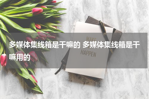 多媒体集线箱是干嘛的 多媒体集线箱是干嘛用的