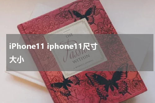 iPhone11 iphone11尺寸大小