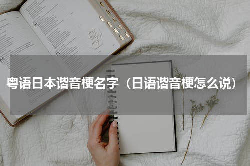 粤语日本谐音梗名字（日语谐音梗怎么说）