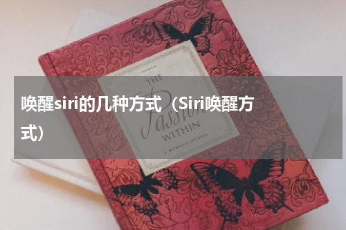 唤醒siri的几种方式（Siri唤醒方式）