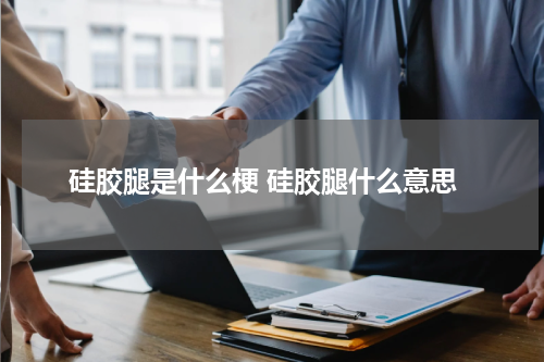 硅胶腿是什么梗 硅胶腿什么意思