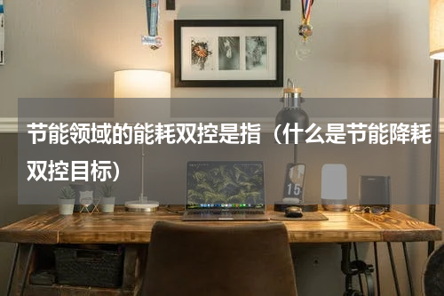 节能领域的能耗双控是指（什么是节能降耗双控目标）