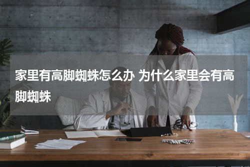 家里有高脚蜘蛛怎么办 为什么家里会有高脚蜘蛛