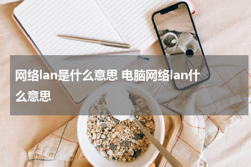 网络lan是什么意思 电脑网络lan什么意思