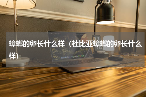 蟑螂的卵长什么样（杜比亚蟑螂的卵长什么样）