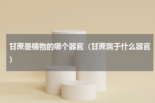 甘蔗是植物的哪个器官（甘蔗属于什么器官）