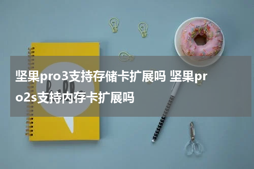 坚果pro3支持存储卡扩展吗 坚果pro2s支持内存卡扩展吗