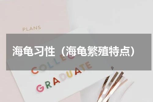 海龟习性（海龟繁殖特点）