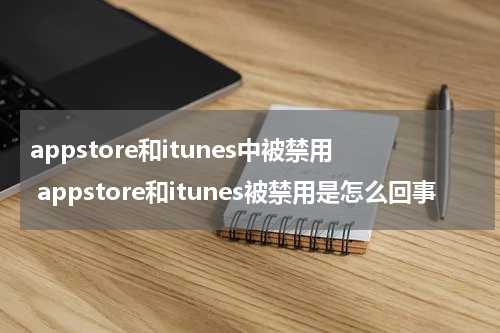 appstore和itunes中被禁用 appstore和itunes被禁用是怎么回事