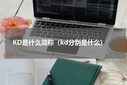 KD是什么简称（kd分别是什么）