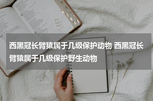 西黑冠长臂猿属于几级保护动物 西黑冠长臂猿属于几级保护野生动物