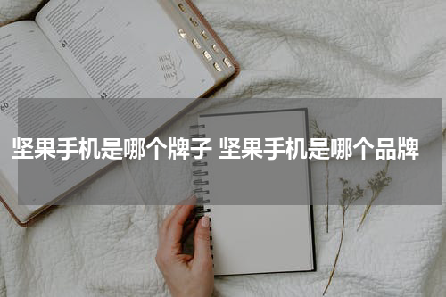 坚果手机是哪个牌子 坚果手机是哪个品牌