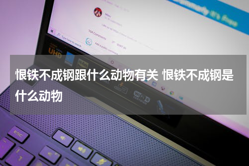 恨铁不成钢跟什么动物有关 恨铁不成钢是什么动物