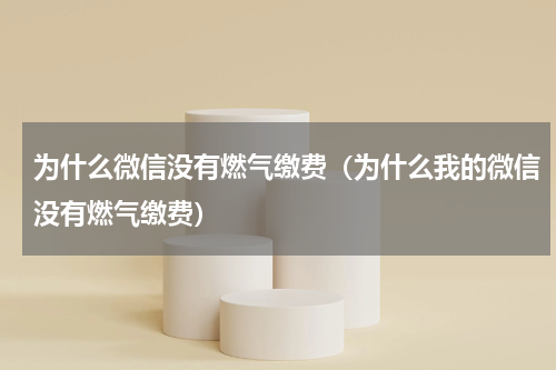 为什么微信没有燃气缴费（为什么我的微信没有燃气缴费）