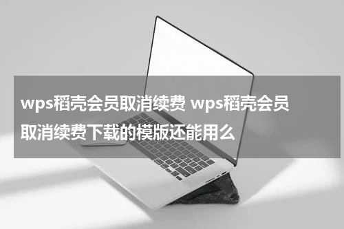 wps稻壳会员取消续费 wps稻壳会员取消续费下载的模版还能用么