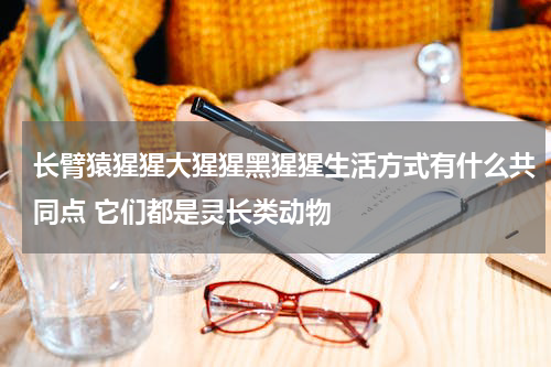 长臂猿猩猩大猩猩黑猩猩生活方式有什么共同点 它们都是灵长类动物
