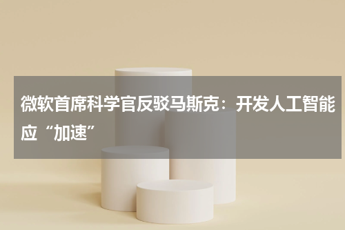 微软首席科学官反驳马斯克：开发人工智能应“加速”