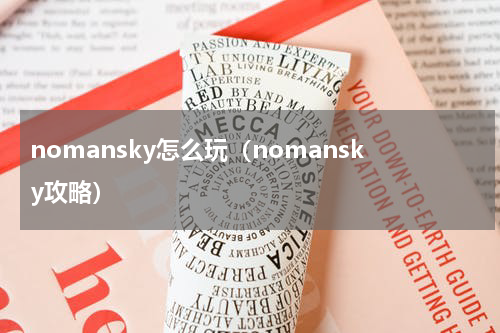 nomansky怎么玩（nomansky攻略）