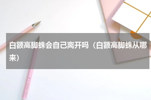 白额高脚蛛会自己离开吗（白额高脚蛛从哪来）