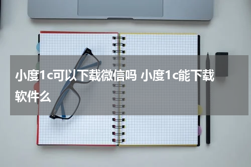 小度1c可以下载微信吗 小度1c能下载软件么