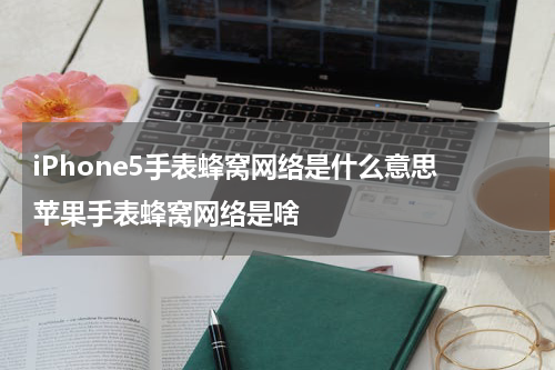 iPhone5手表蜂窝网络是什么意思 苹果手表蜂窝网络是啥