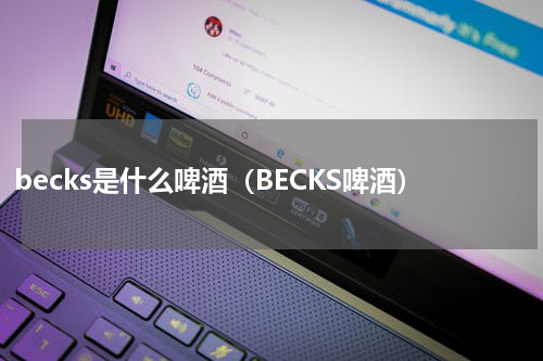 becks是什么啤酒（BECKS啤酒）