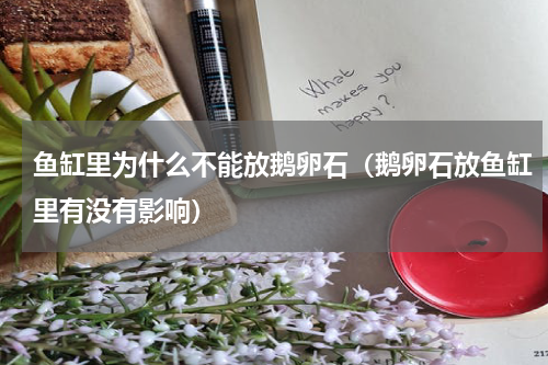 鱼缸里为什么不能放鹅卵石（鹅卵石放鱼缸里有没有影响）