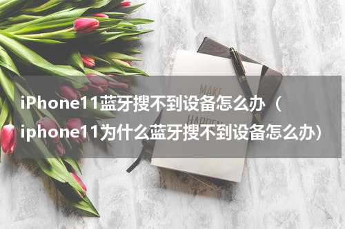 iPhone11蓝牙搜不到设备怎么办（iphone11为什么蓝牙搜不到设备怎么办）