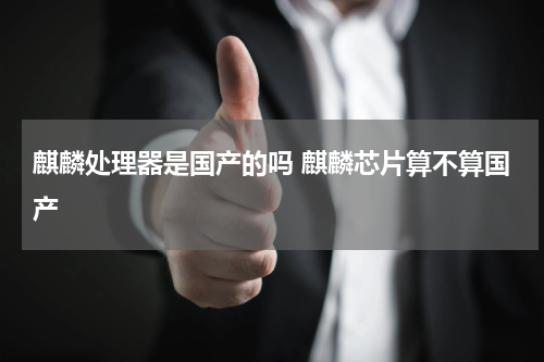 麒麟处理器是国产的吗 麒麟芯片算不算国产