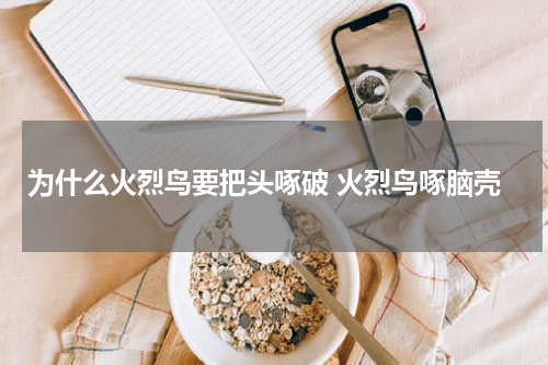 为什么火烈鸟要把头啄破 火烈鸟啄脑壳