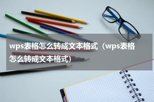 wps表格怎么转成文本格式（wps表格怎么转成文本格式）