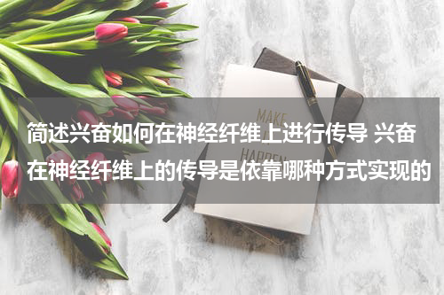 简述兴奋如何在神经纤维上进行传导 兴奋在神经纤维上的传导是依靠哪种方式实现的