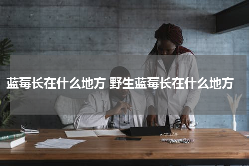 蓝莓长在什么地方 野生蓝莓长在什么地方