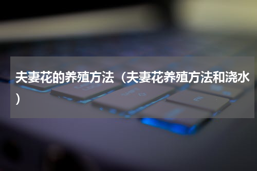 夫妻花的养殖方法（夫妻花养殖方法和浇水）