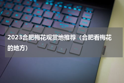 2023合肥梅花观赏地推荐（合肥看梅花的地方）