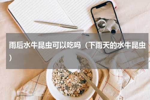 雨后水牛昆虫可以吃吗（下雨天的水牛昆虫）