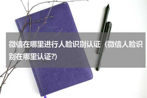 微信在哪里进行人脸识别认证（微信人脸识别在哪里认证?）