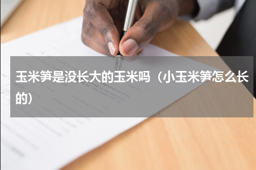 玉米笋是没长大的玉米吗（小玉米笋怎么长的）